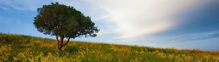 ND Landscape 4
